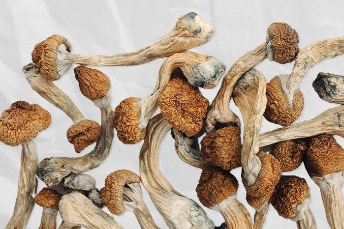 Can You Smoke Shrooms? Risks, Effects & Alternatives